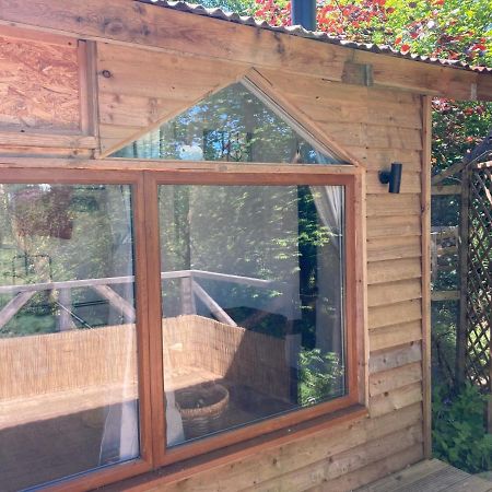 Honey Bee Cabin Llandysul Buitenkant foto