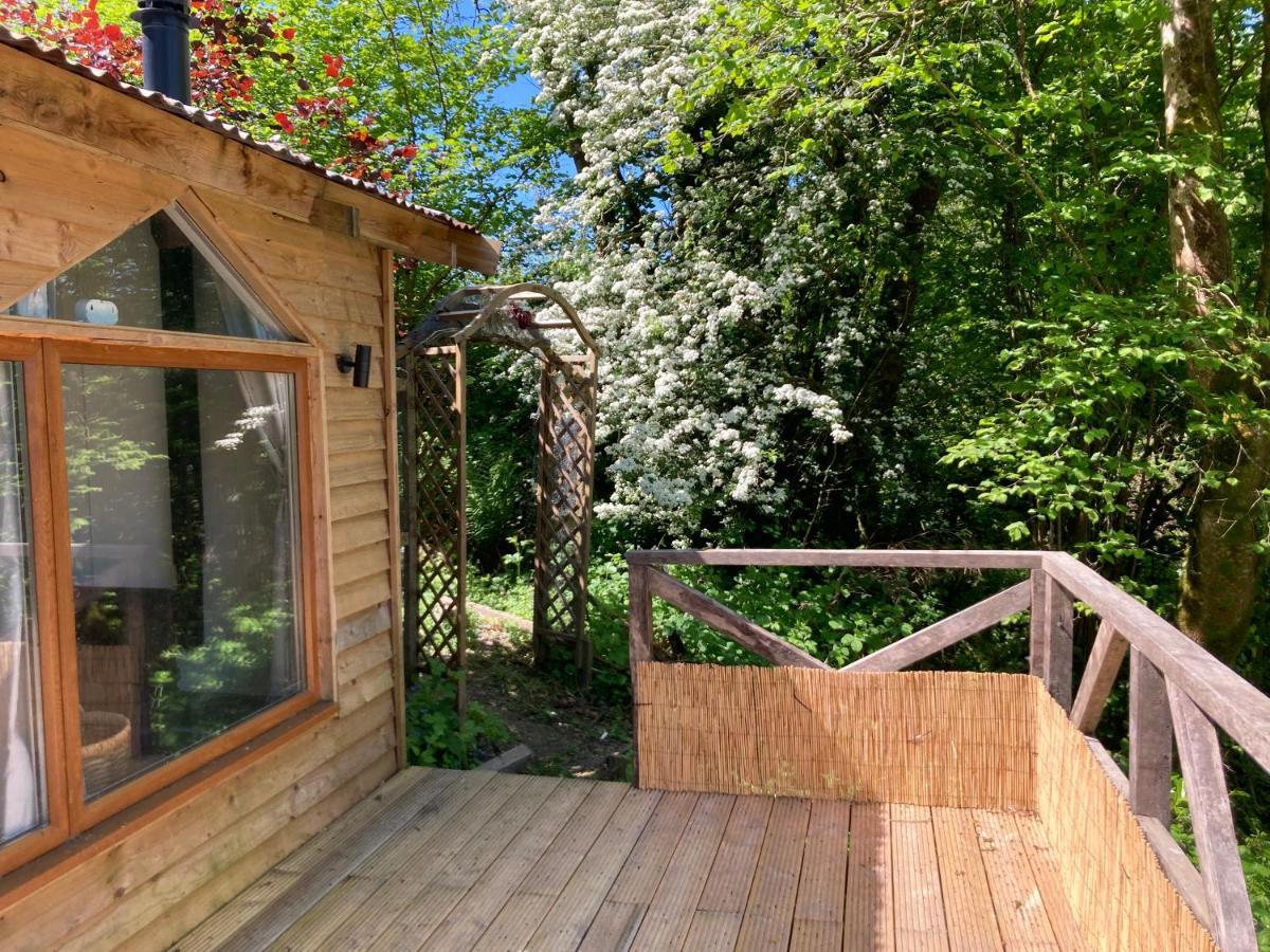 Honey Bee Cabin Llandysul Buitenkant foto