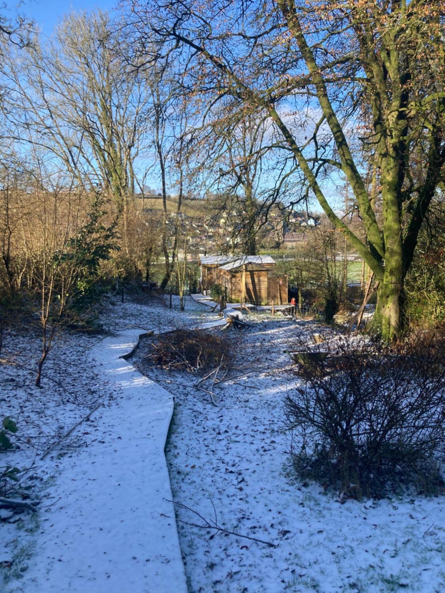Honey Bee Cabin Llandysul Buitenkant foto
